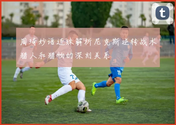 周琦妙语连珠解析尼克斯逆转战术猎人和猎物的深刻关系